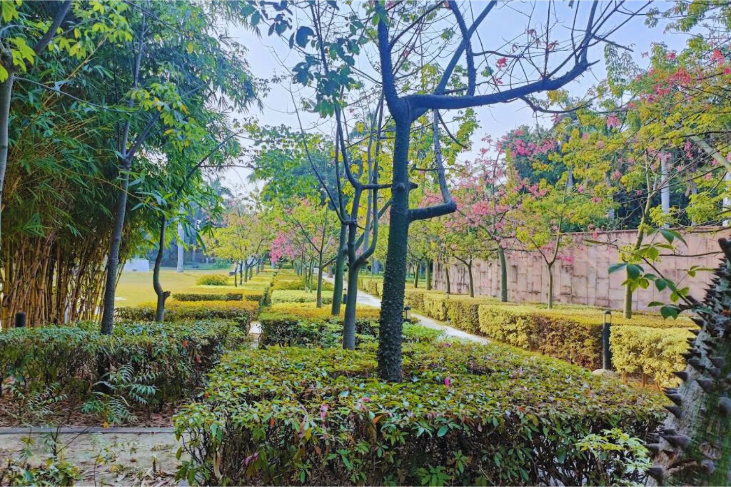 Japani Garden Kanpur